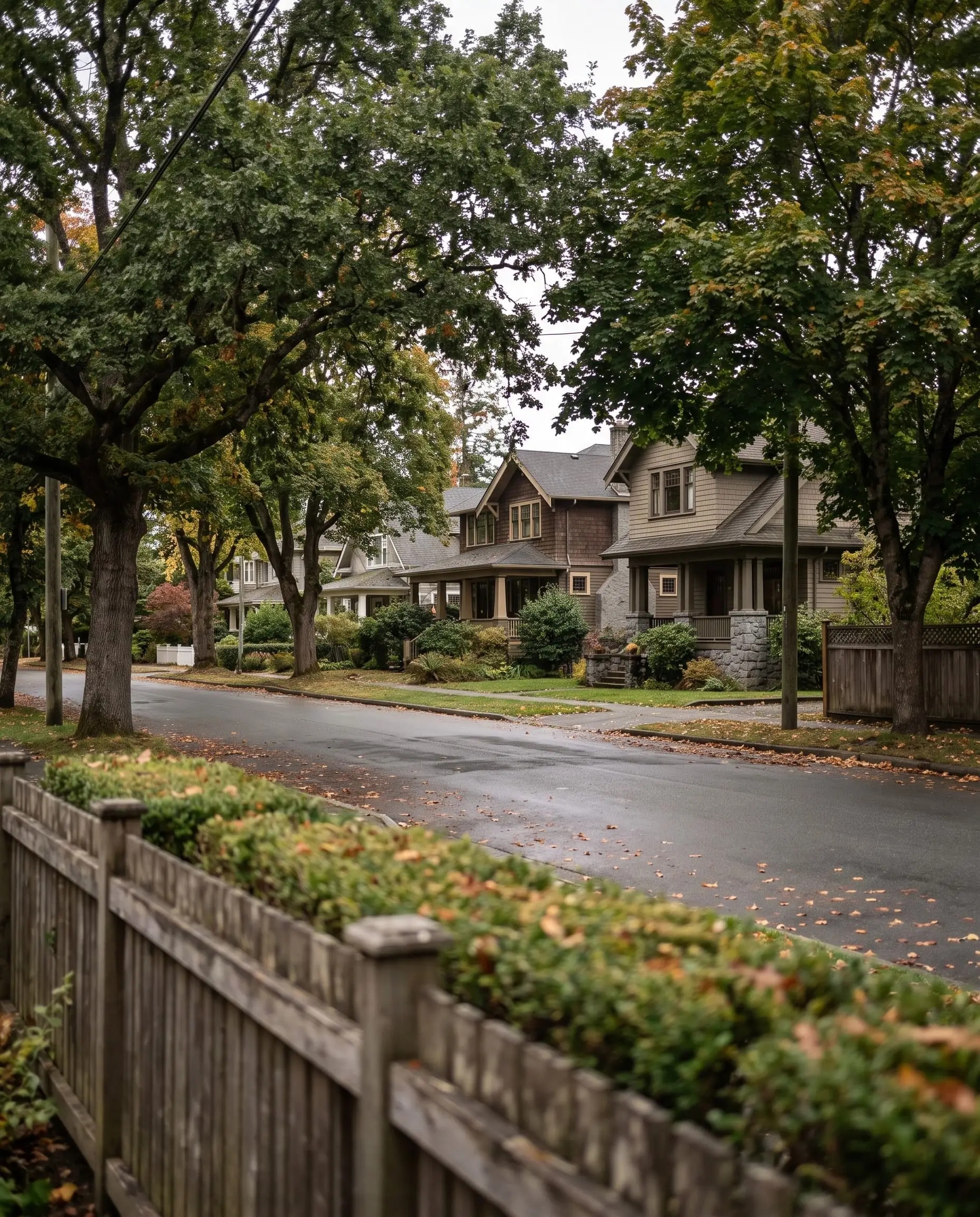 A tree-lined street of character homes in Oak Bay
