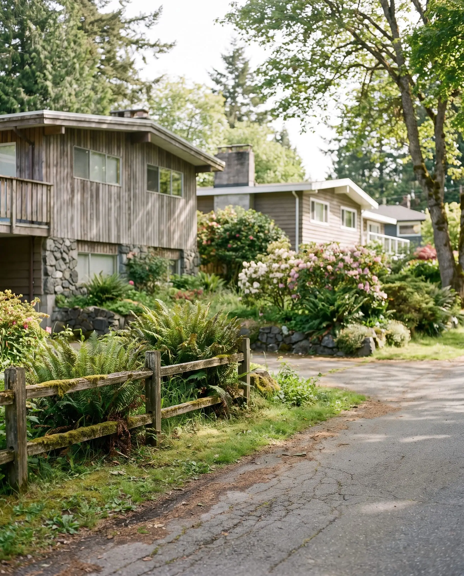 Mid-century homes and gardens in Saanich