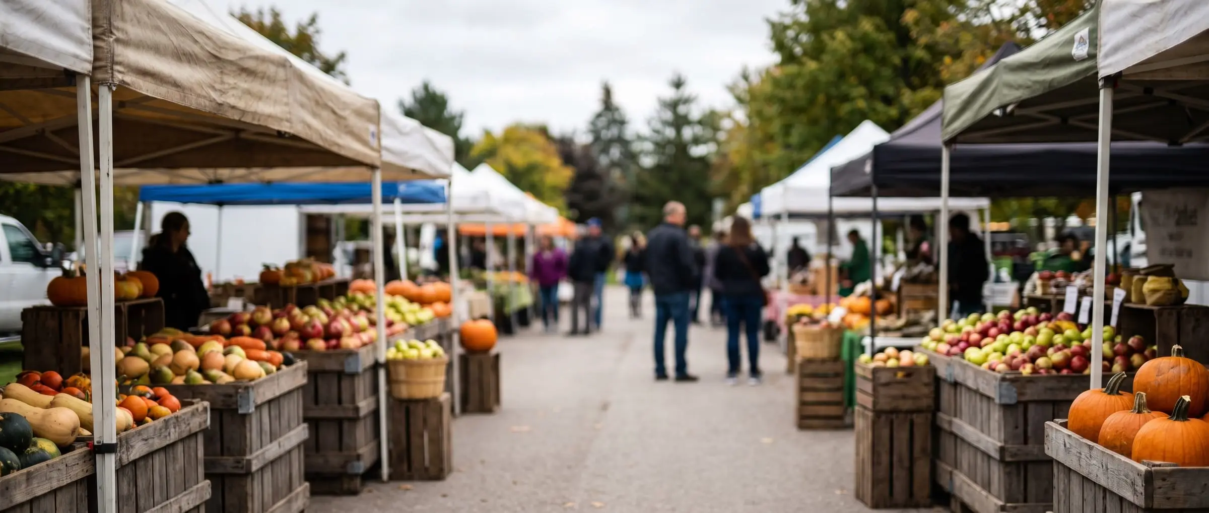 A busy farmers market in Brampton