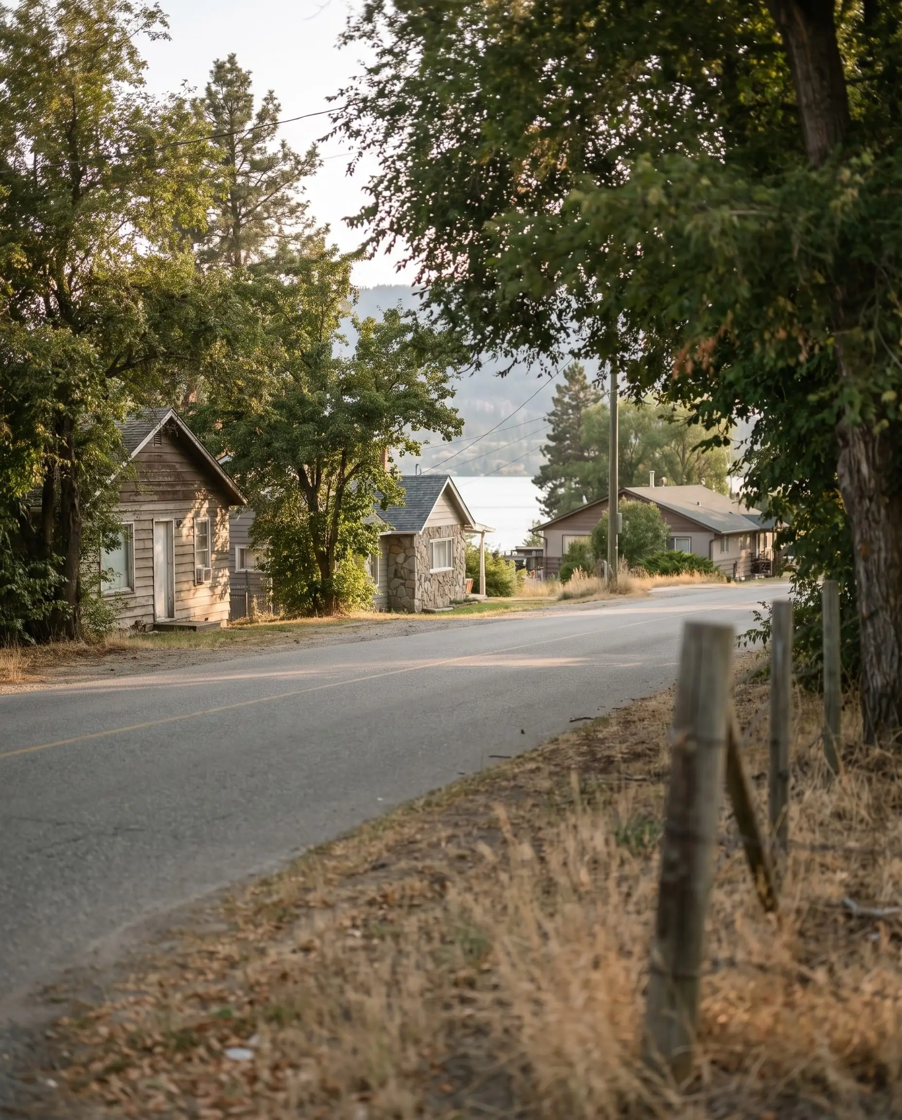 A quiet road of homes near the lake in the Lower Mission